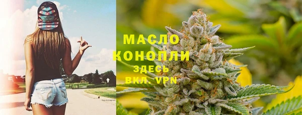 молекула духа Михайлов