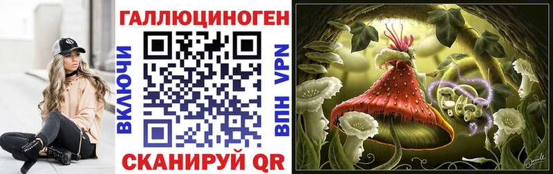 Галлюциногенные грибы Psilocybine cubensis Заинск